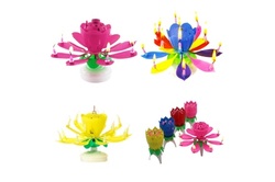 Up to 40% Off on Party Supplies (Retail) at Chasqui LLC