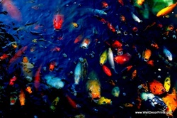 Up to 51% Off on Interior Decorator / Designer at Wall Decor Prints