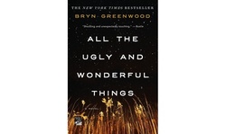 All the Ugly and Wonderful Things: A Novel