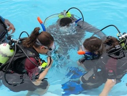 Up to 86% Off on SCUBA (Activity / Experience) at 1.877.SCUBA.USA
