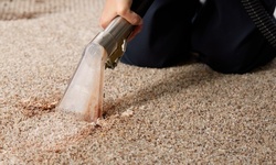 $89 Worth of Rug and Carpet Cleaning