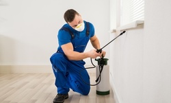 Interior and Exterior Pest-Control Treatment from Soren Pest Solutions (Up to 63% Off). Two Options Available.