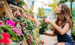 Magic Plant Party for One or Two at Easton Garden Designs (Up to 47% Off)