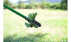 STAND-UP WEED ROOT REMOVER