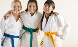 Three or Six Weeks of Unlimited Martial-Arts Classes at Action Karate – North Wales (Up to 68% Off)