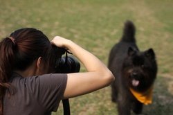 Up to 60% Off at Purfect Pawtography 