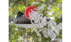 5 Gallon Solar Shower with Thermometer with Temperatures