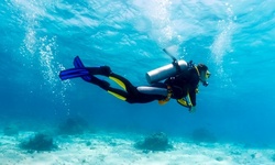 $26 for Intro to Scuba Class at Aquatic Specialties ($50 Value)