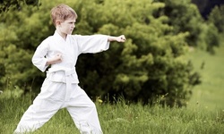 5, 10 or 20 Classes, or 1 Month of Unlimited Mixed-Martial Arts Classes at DePasquale Ju-Jitsu (Up to 77% Off)   