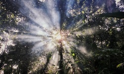 $59 for 30-Minute Psychic Reading for One from Kathleen Avino Psychic & Medium ($79 Value)