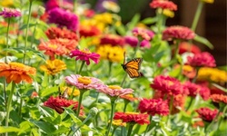 Birds,Bees & Butterflies Flower Seed Mats w/Soil Block (1pk, 2pk, 3pk-w/Shovel)