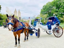 $139 for 45-Minute VIP Central Park Horse and Carriage Ride from VIP Central Park Tours ($153.03 Value)