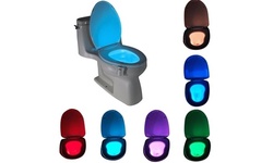 LED Sensor Motion Activated Bathroom Toilet Seat Bowl Battery Glow Night Light