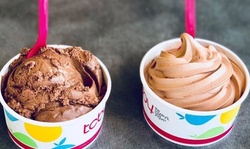 30% Cash Back at TCBY