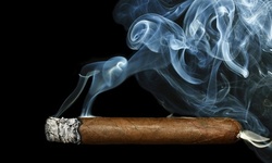 25% Cash Back at Harry's Habana Hut