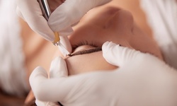 One Microblading Session at iSalon - Brow Ink by Tammy (48% Off)