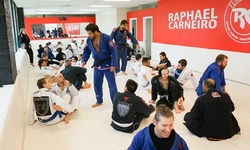 5 or 10 Individual Brazilian Jiu Jitsu or Muay Thai Classes at Fenix Brazilian Jiu-Jitsu (Up to 69% Off)