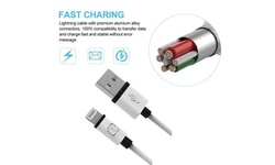 Walnut Apple Certified 4-ft Charge and Sync Fast Charging Cable (1 or 2-Pack)