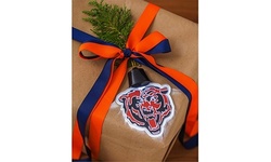 Team Sports America NFL Acrylic LED Ornaments