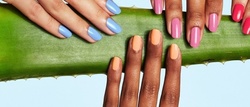 One POLISHED Nail Kit from Reserved + Polished (Up to 19% Off)