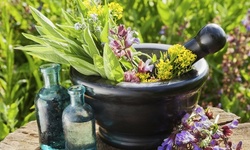 Up to 71% Off on Detox / Cleanse - Other at Denassi Body Bar
