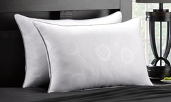 Allergy, Dust Mite & Bed Bug Free All Sleeper Pillow with MicronOne (2 Pack)