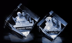 One Brick, Tower, Heart, or Diamond 3D Photo Crystal from 3D Crystal USA (Up to 57% Off). 10 Options Available.