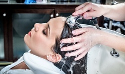Up to 46% Off on Salon - Hair Color / Highlights - Roots at Bellissima Hair & Co.