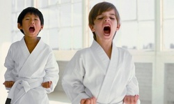 One or Two Months of Karate Training at Professional Karate Studios - Champlin (Up to 88% Off)