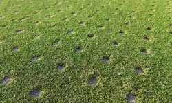 $119 for 10,000 Square Feet of Lawn Aeration from SeasonGreen Turf ($220 Value)