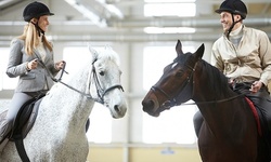 One or Three Horseback-Riding Lessons at Great Distance Riding School (Up to 54% Off)