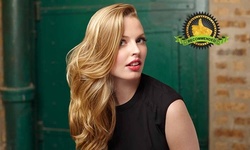 Haircut with Optional Partial Highlights or Balayage at Hollywood Blonde Salon (Up to 57% Off)