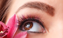 One Lash Lift and Tint Sessions at Intuitive Skin Studio (Up to 63% Off)