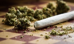 $136 for Consultation for Florida Medical Marijuana Card at Cannabis Doctorx ($300 Value)