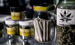 $135 for Medical Marijuana Card Consultation at Mary J MD ($250 Value)