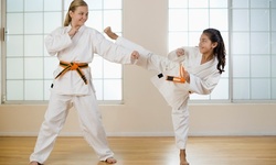 Kids' Martial Arts at Sidekicks Family Martial Arts Centers (Up to 79% Off).