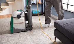 Deep Carpet Cleaning for Three or Five Rooms from Tampa Bay Cleaning Solutions (Up to 54% Off)
