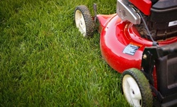 20% Off Lawn Mowing Service