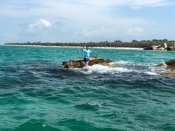 $479 for Snorkel Excursion to Egmont Key for Up To Six People at Born Blue Diving & Chaters ($500 Value)