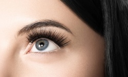 Classic or Volume Eyelash Extensions or a Lash Lift at Whole Beauty Salon and Spa (Up to 53% Off)