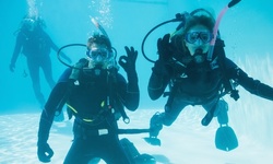 90-Minute Scuba Trial for Two, Three, or Four at Adam's Scuba University (Up to 30% Off)