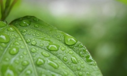 $197 for Two-Hour Odor Removal Service for Up to 1500 sq ft at O3 ($299 Value)