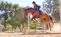 One 60-Minute Horseback-Riding Group Lesson for One or Two at New York Equestrian Center (Up to 31% Off)