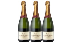 Three Bottles of Cottet Dubreuil French Champagne from Splash Wines (Up to 66% Off)