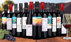 6- or 12-Pack of Chilean Red Wines from Wine Insiders (Up to 68% Off)