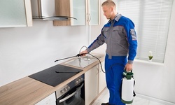 Total Home Pest Control Service for House Up to 3,000 or 5,000 Square Feet from EcoTek (Up to 65% Off)