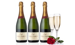 Champagne 3-Pack from Splash Wines (66% Off)