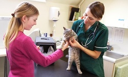 $35 Off $69 Worth of Healthcare - Pet