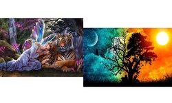 5D Diamond Painting DIY Embroidery Cross Stitch Kits Home Decor Art