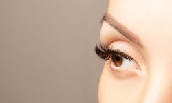 Up to 74% Off on False Eyelash Application at Beautyland by Alice